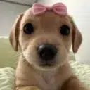 Milly